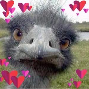 Meet your Posher, Gail